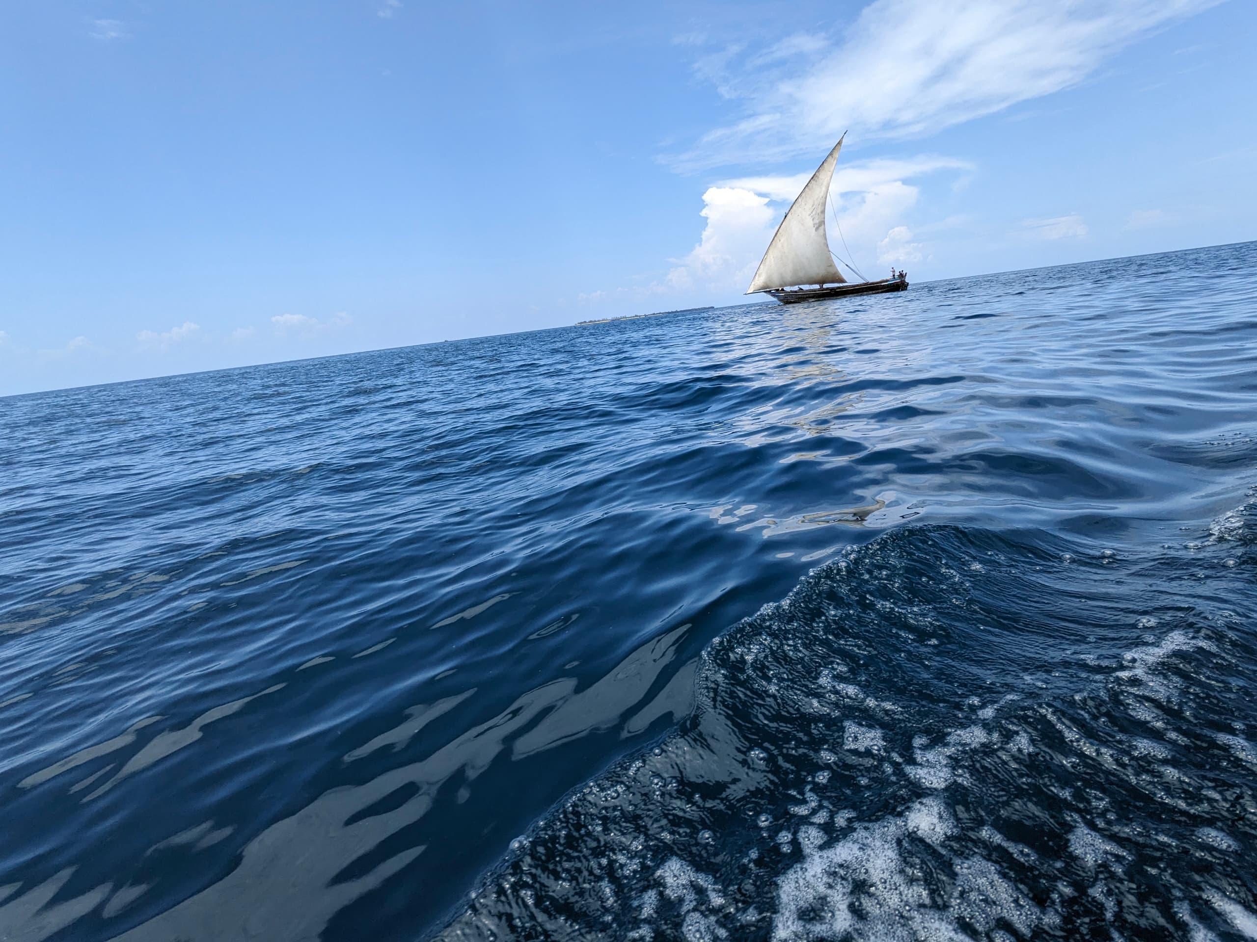 The Ocean Sets the Rhythm of Life